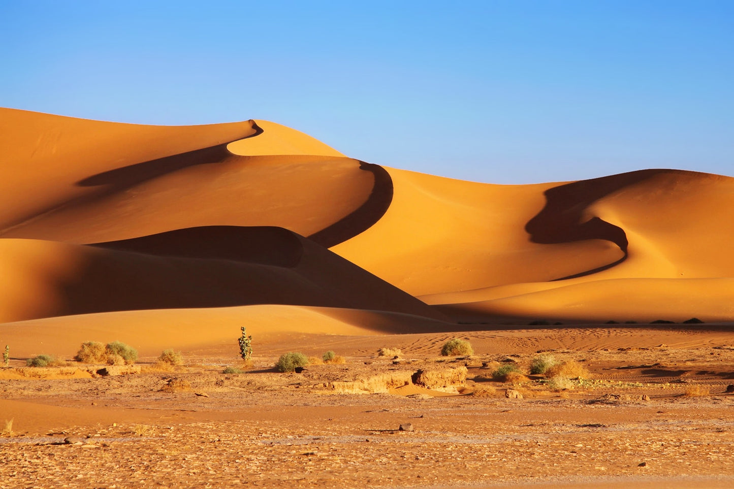 Algeria Landscape Photos Bundle – 195 High Resolution Images (Color, Black & White, Sepia) Instant Download Wall Art