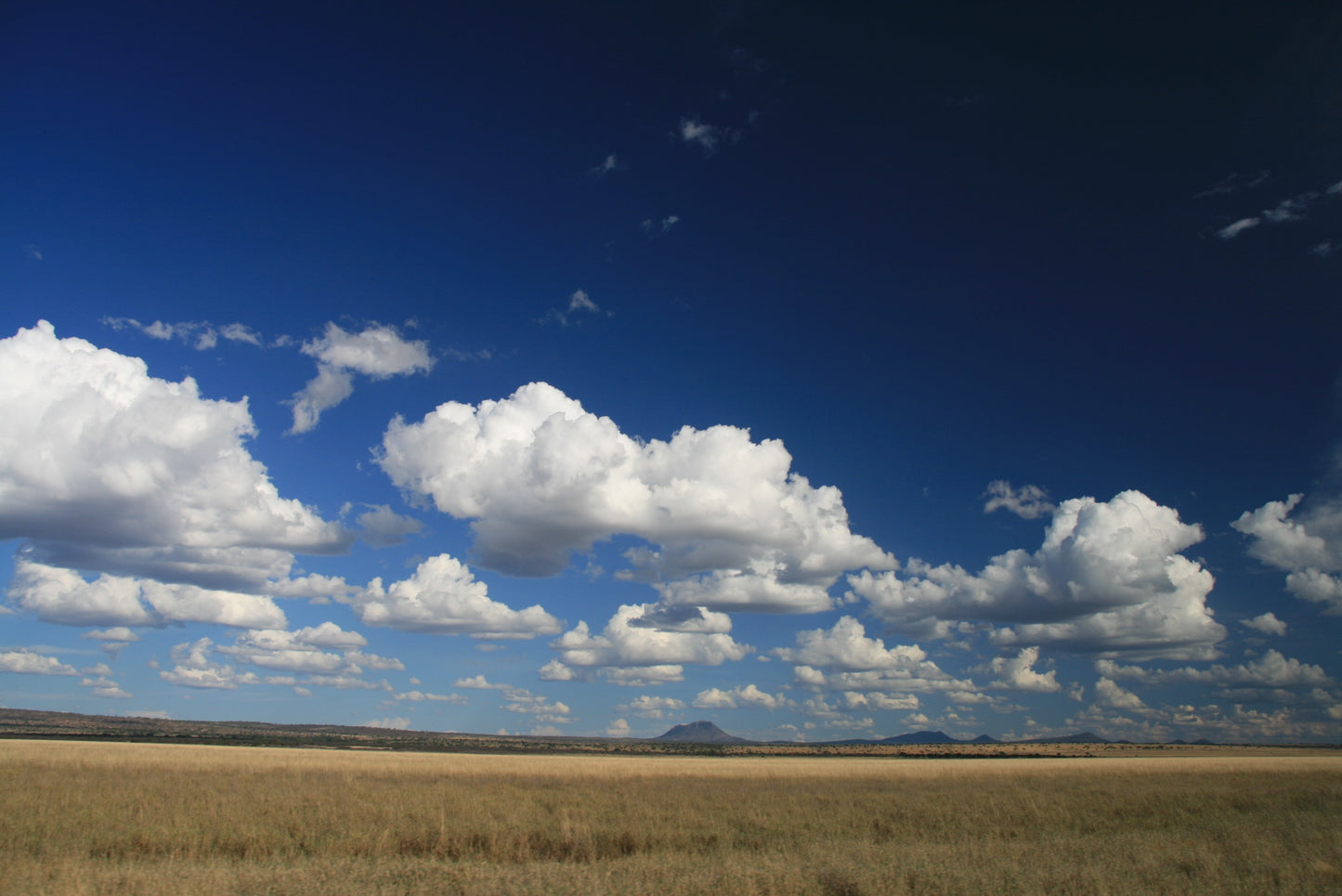 395 Digital Photos of Tanzania | High-Resolution Images | Instant Download