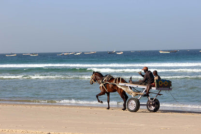 82 Digital Photos of Senegal | High-Resolution Images | Instant Download
