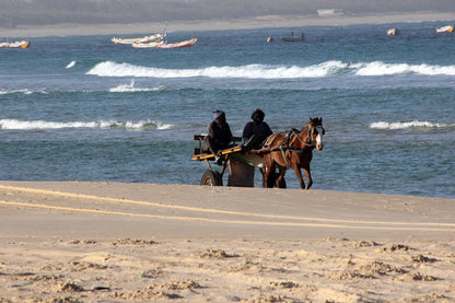 82 Digital Photos of Senegal | High-Resolution Images | Instant Download