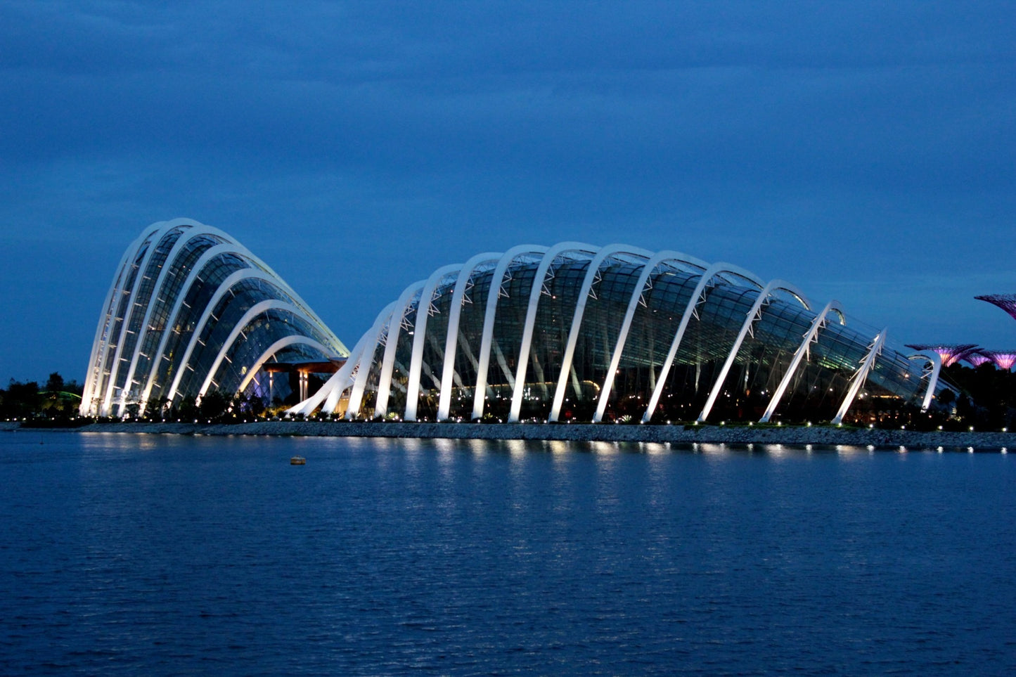 200 Digital Photos of Singapore | High-Resolution Images | Instant Download