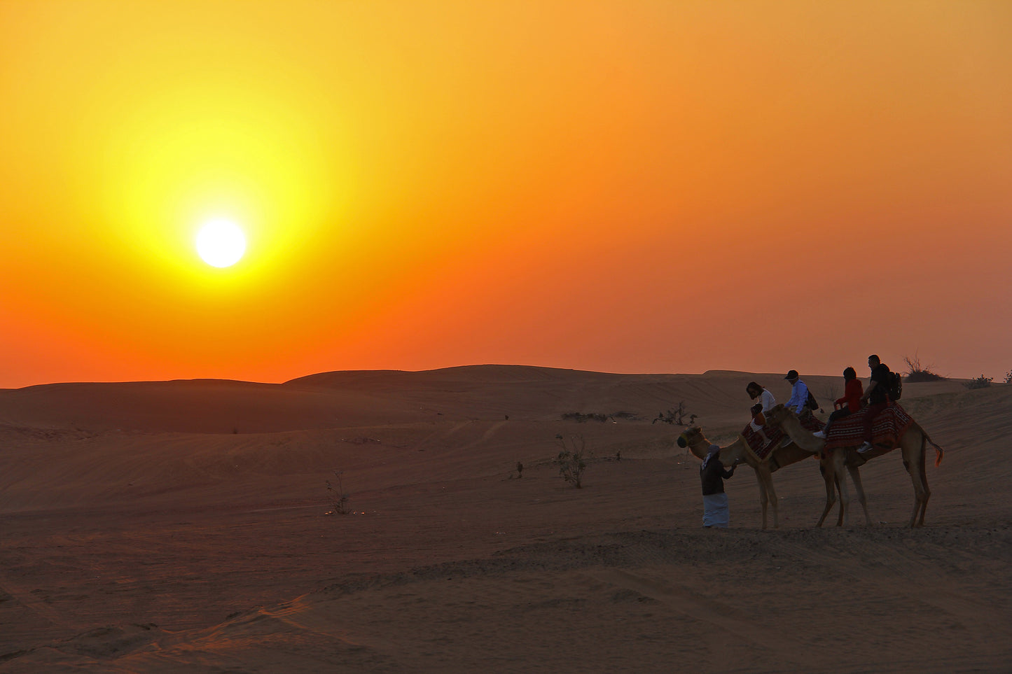 Dubai City & Desert Photos Bundle – 340 High Resolution Images (Color, Black & White, Sepia) | Instant Download Wall Art