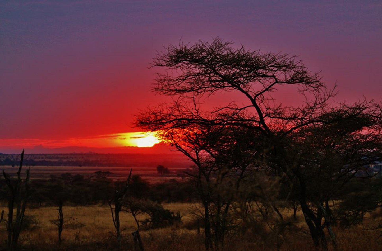 395 Digital Photos of Tanzania | High-Resolution Images | Instant Download