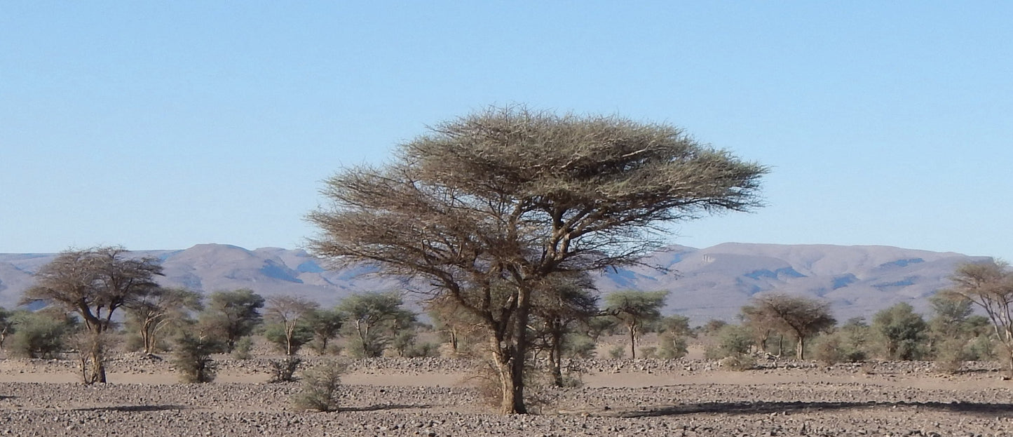 155 Photos of Morocco – Color – Breathtaking Landscapes & Cultural Wonders