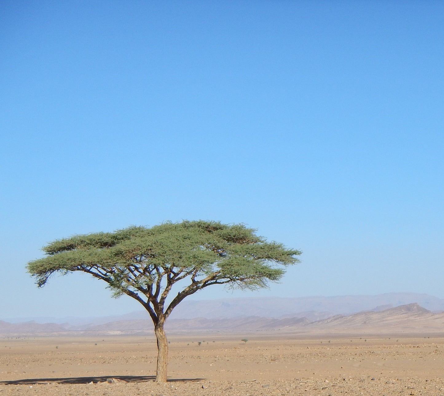 155 Photos of Morocco – Color – Breathtaking Landscapes & Cultural Wonders